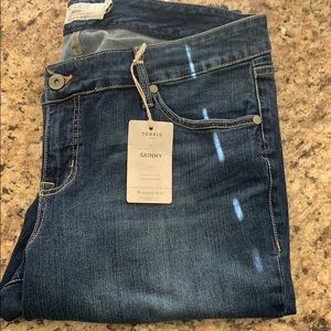 Torrid Skinny Jeans